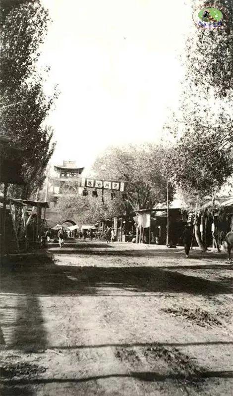 新疆，嘉賓與友朋共聚一堂